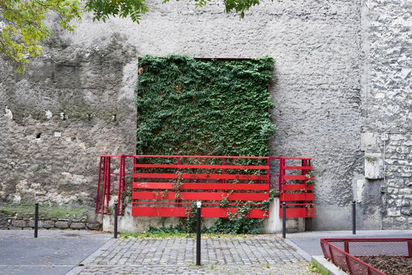 © Chris Lee - Image from the The Nature of Nature photography project