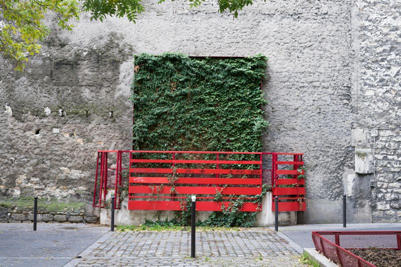 © Chris Lee - Image from the The Nature of Nature photography project