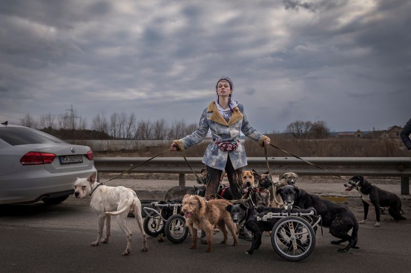 © Christopher Occhicone