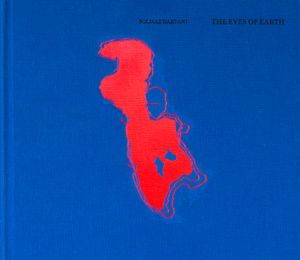 The Eyes of Earth by Solmaz Daryani