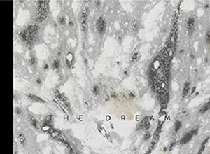 The Dream by Fabio Bucciarelli