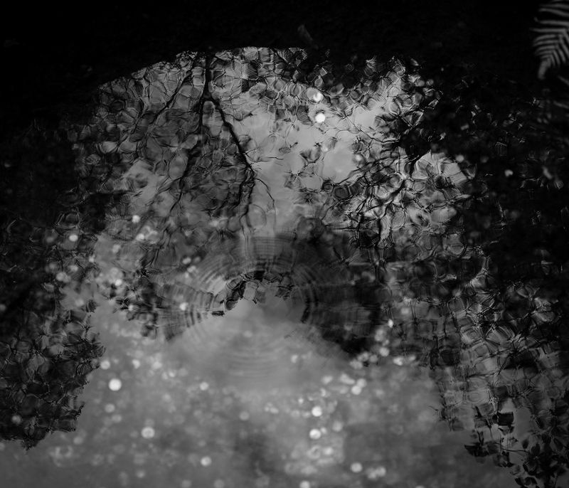 © Jared Ragland - Image from the What Has Been Will Be Again photography project