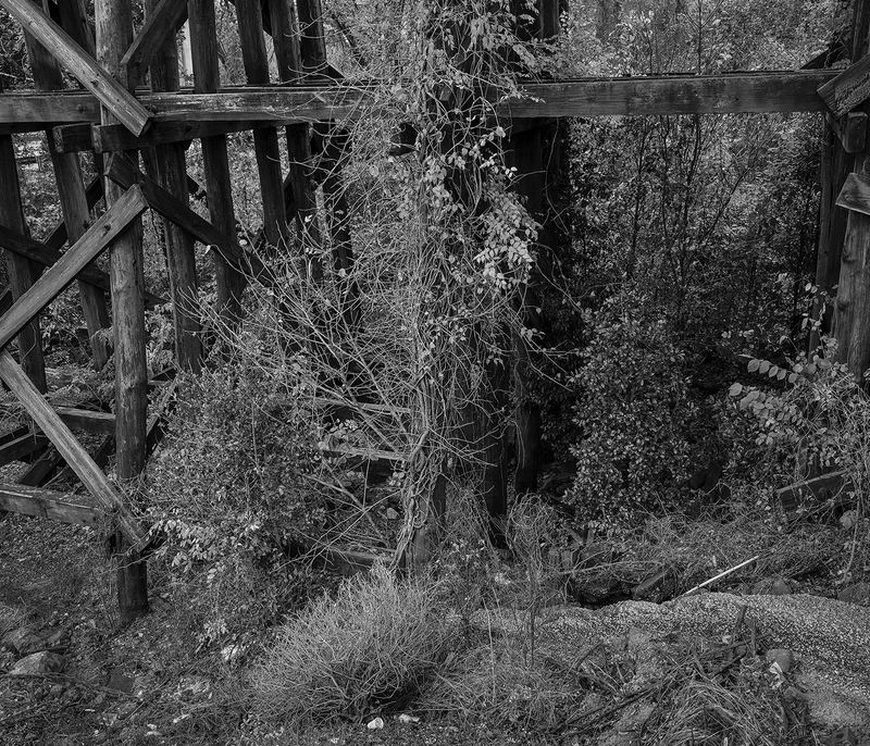 © Jared Ragland - Image from the What Has Been Will Be Again photography project