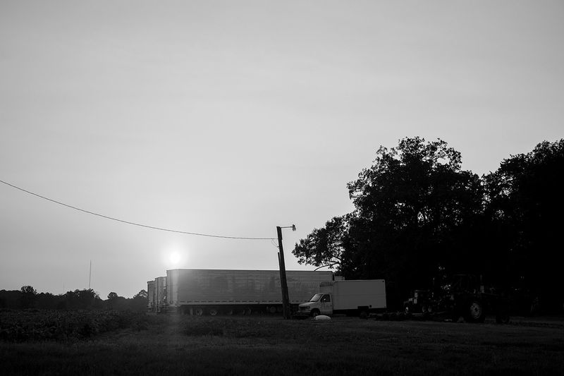 © Jared Ragland - Sand Mountain, Alabama.