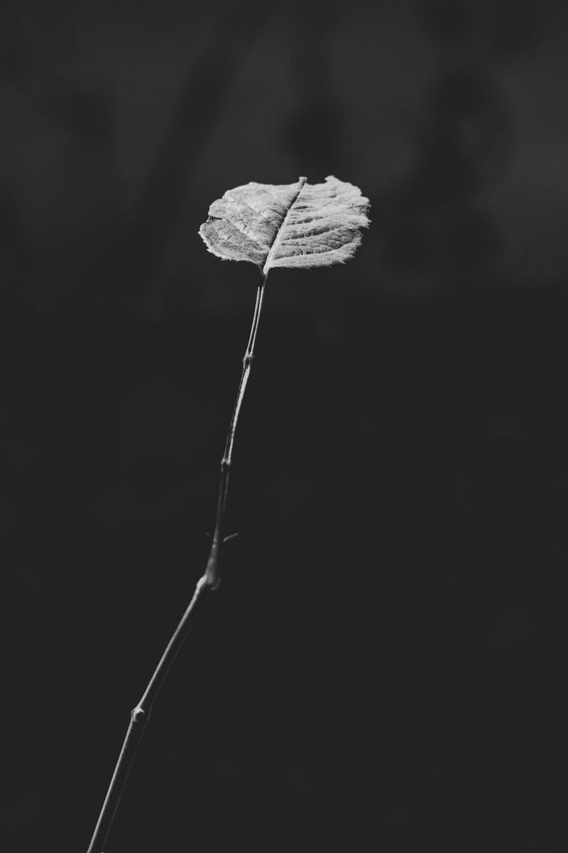 © Daniela Dib - Image from the Those Days photography project