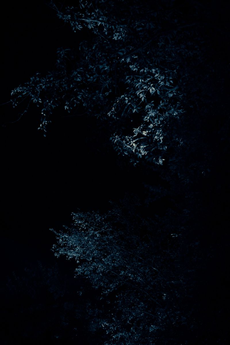 © Daniela Dib - Image from the “When the Dream Meets Blue” photography project
