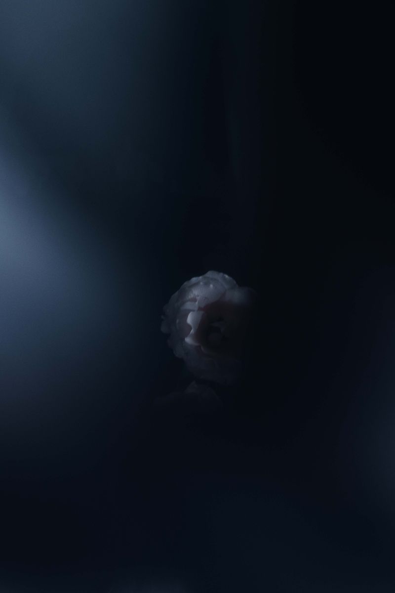 © Daniela Dib - Image from the “When the Dream Meets Blue” photography project