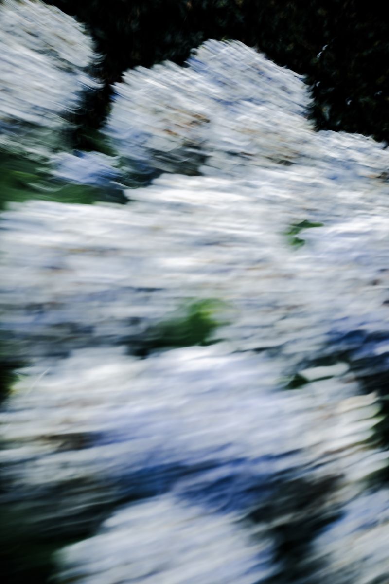 © Daniela Dib - Image from the “When the Dream Meets Blue” photography project