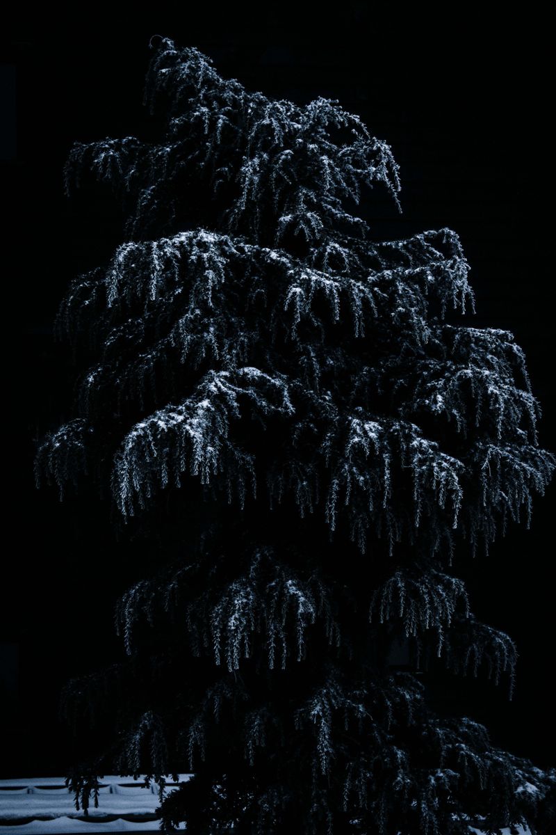 © Daniela Dib - Image from the “When the Dream Meets Blue” photography project