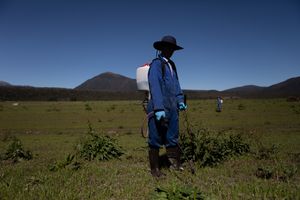 Blue is the colour of the sky