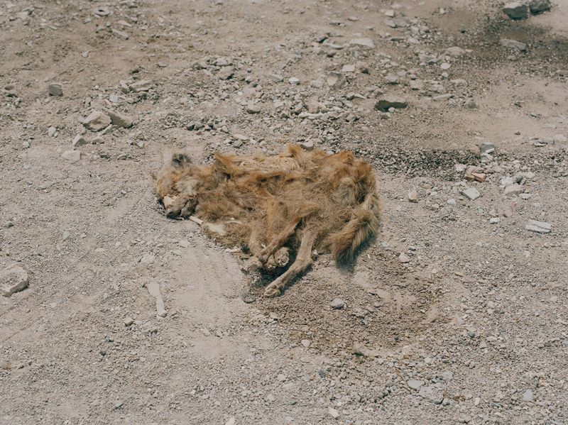 © Nick Ballon - Image from the The Bitter sea photography project