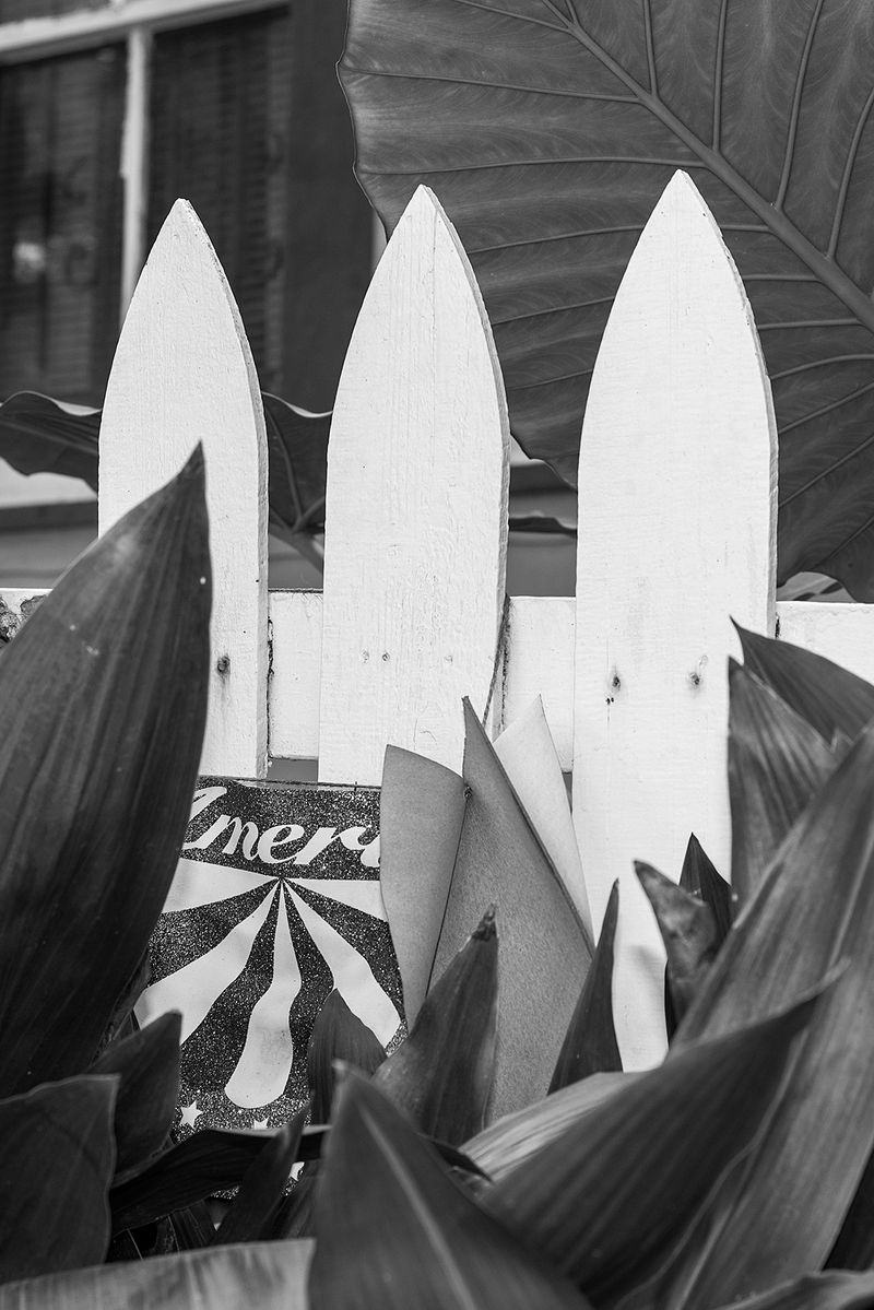 © Johanna Warwick - America