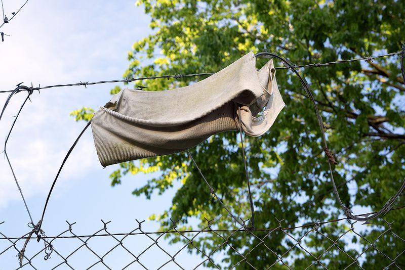 © Johanna Warwick - Shirt