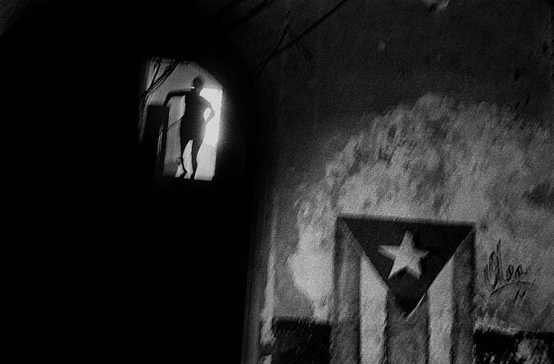 © Ernesto Bazan - Photo 3