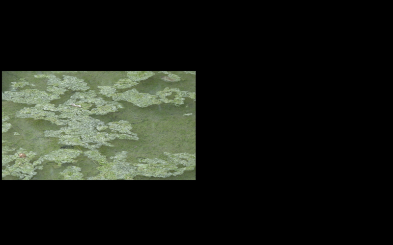 © Flaminia Celata & Bärbel Praun - Image from the APUA photography project