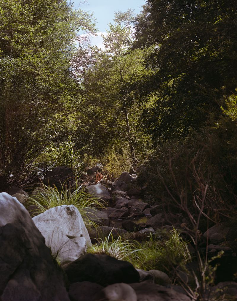 © Olivia Phare - Eve, 2021 // 4x5 Film Photograph