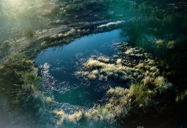 © Olivia Phare - Dawn, 2022 // 35 mm Kodak Portra 160