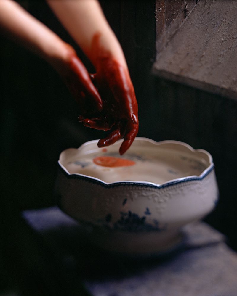 © Olivia Phare - Brutus, 2022 // 4x5 Kodak Portra, 400