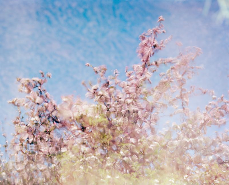 © Olivia Phare - A Love of the Infinite, 2022 // 4x5 Kodak Portra, 160