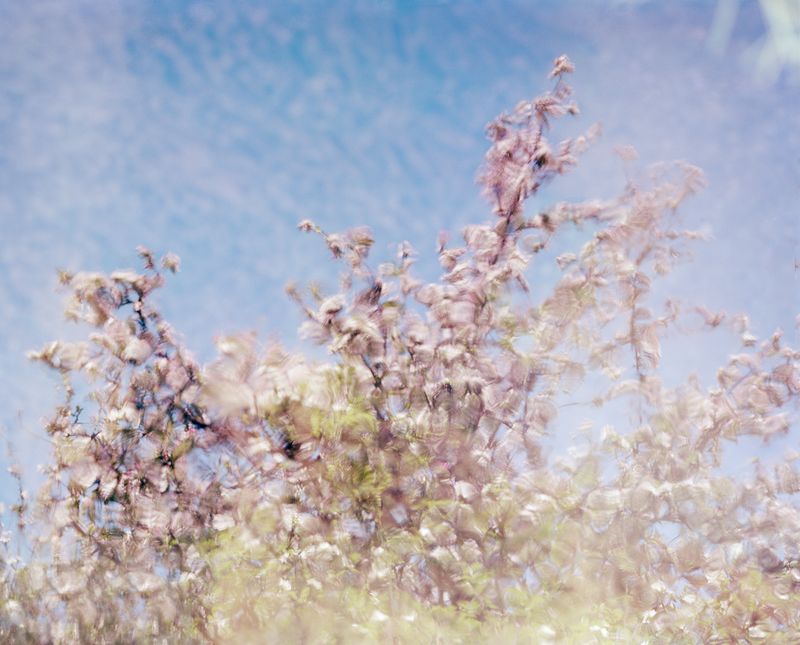 © Olivia Phare - A Love of the Infinite, 2022 // 4x5 Kodak Portra, 160