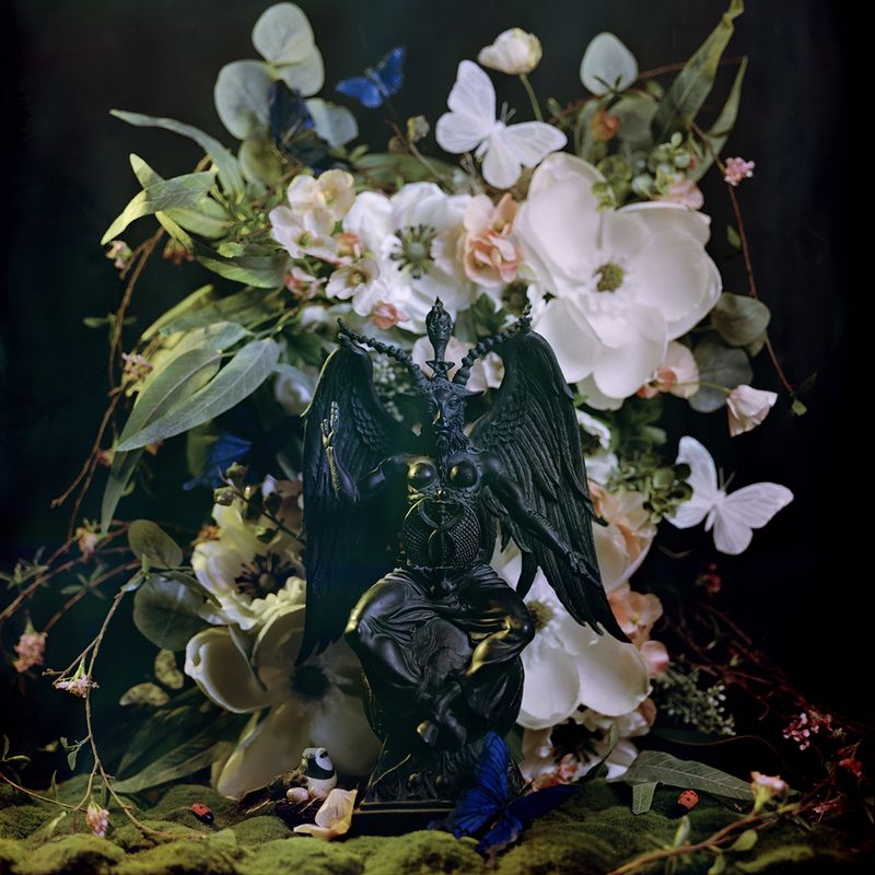 © Olivia Phare - Baphomet, 2022 // 4x5 Kodak Portra, 400