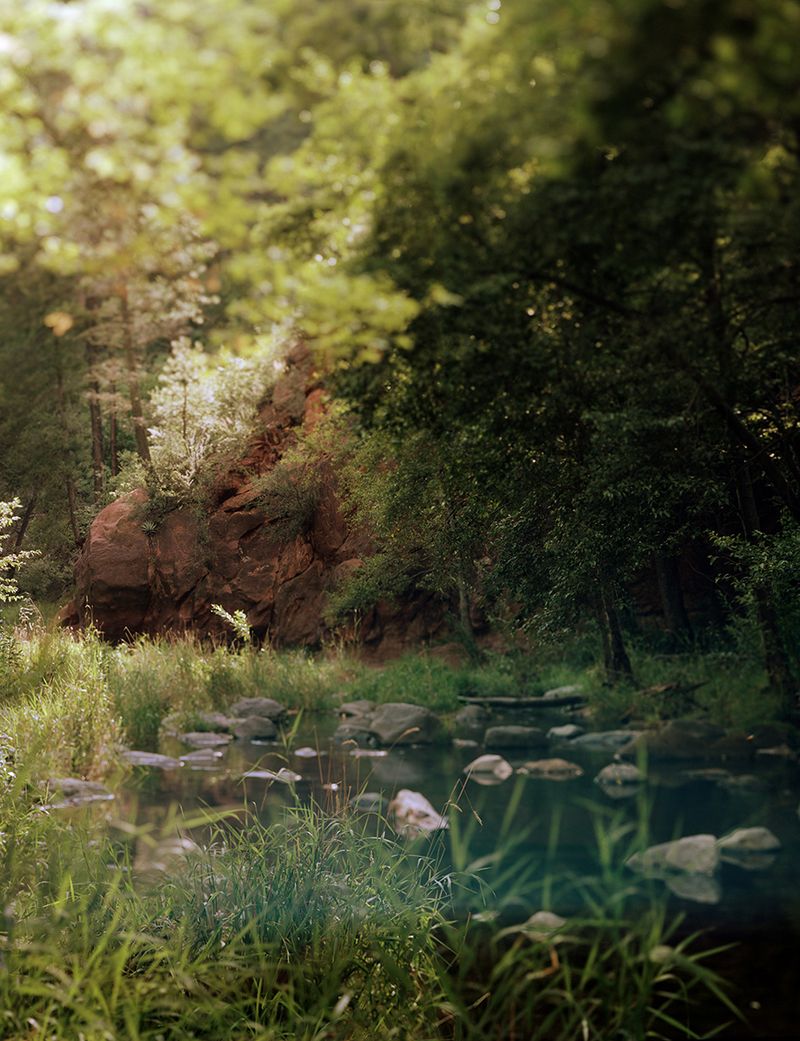 © Olivia Phare - Eden, 2022 // 4x5 Kodak Portra, 160