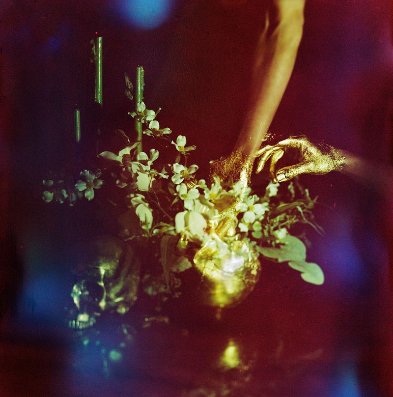 © Olivia Phare - Midas, 2022 // 4x5 Film Photograph