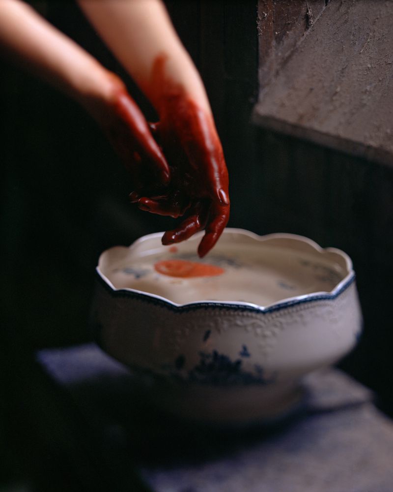 © Olivia Phare - Brutus, 2022 // 4x5 Film Photograph