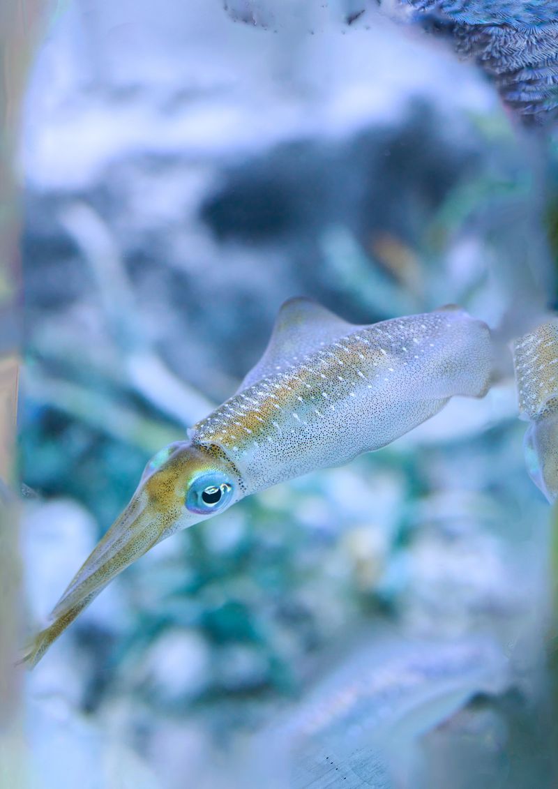 © Kohei Kawatani - Image from the simmer down photography project