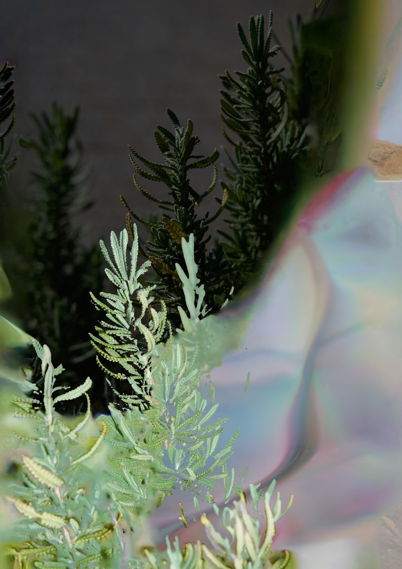 © Kohei Kawatani - Image from the simmer down photography project