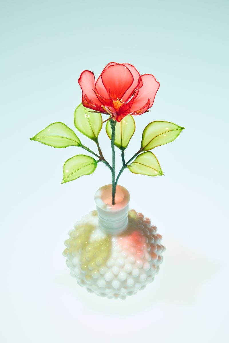 © Kohei Kawatani - Image from the American Flower photography project