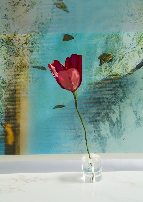 © Kohei Kawatani - Image from the American Flower photography project