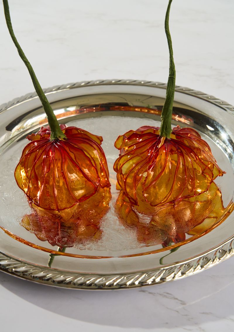 © Kohei Kawatani - Image from the American Flower photography project