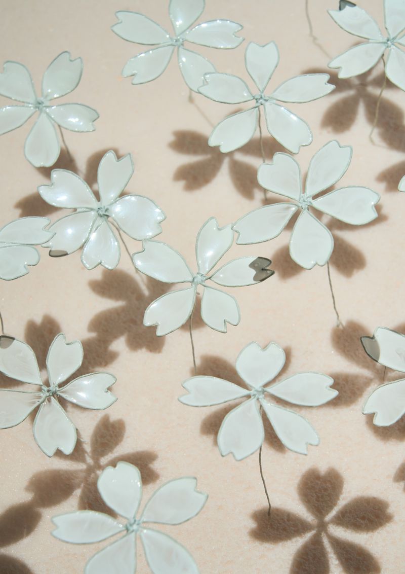 © Kohei Kawatani - Image from the American Flower photography project