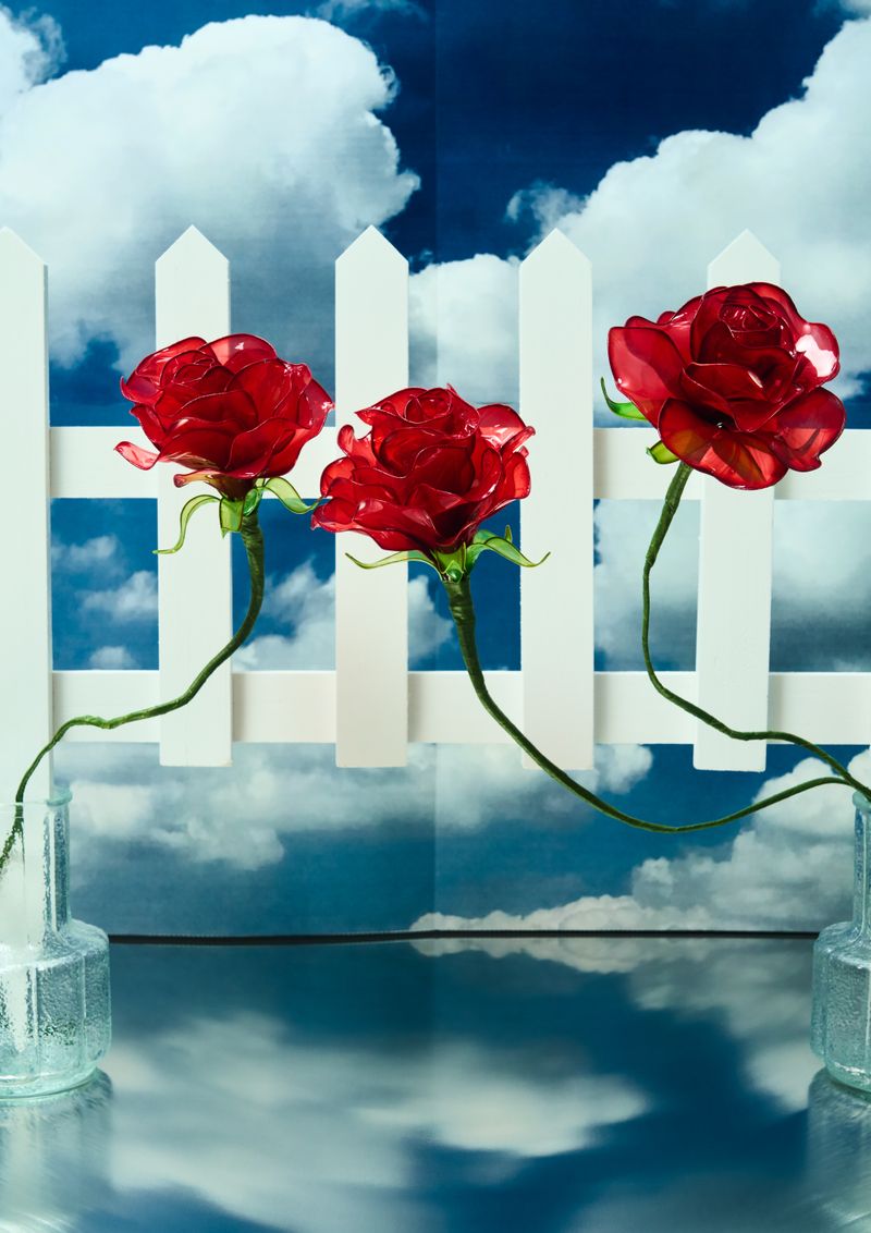 © Kohei Kawatani - Image from the American Flower photography project