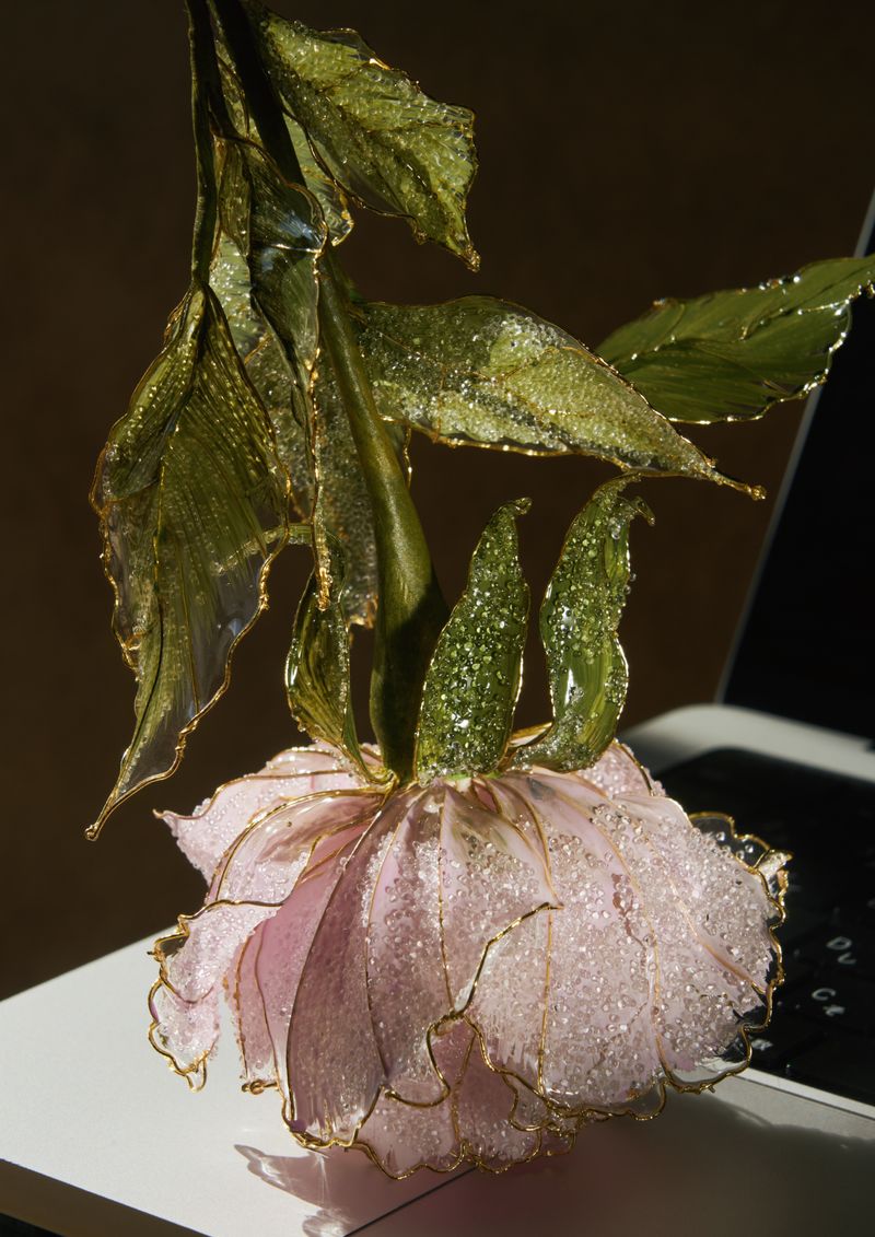 © Kohei Kawatani - Image from the American Flower photography project