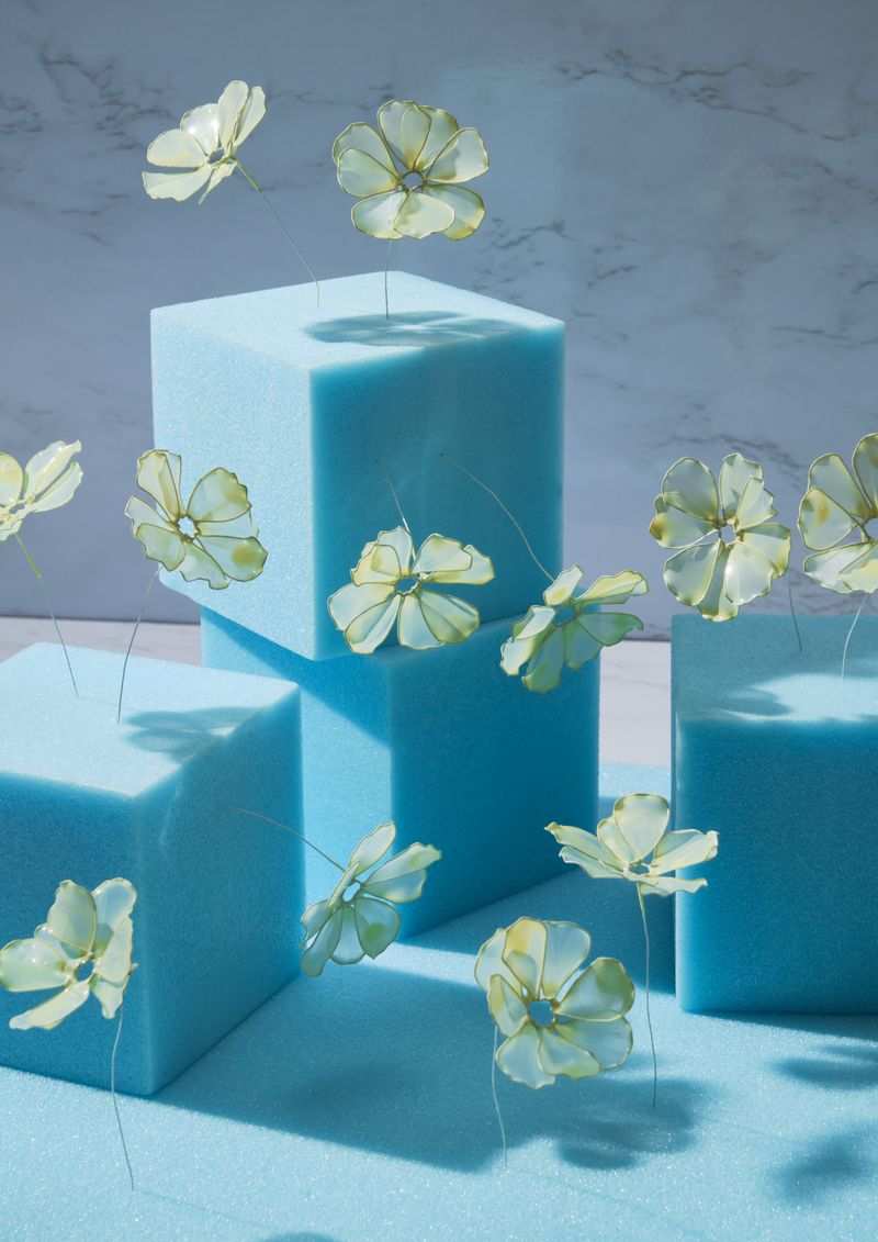 © Kohei Kawatani - Image from the American Flower photography project