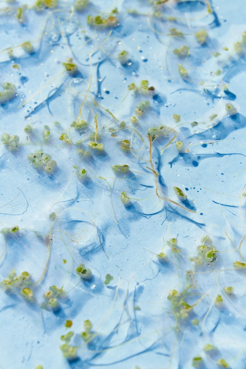 © Kohei Kawatani - Image from the Kaiki photography project