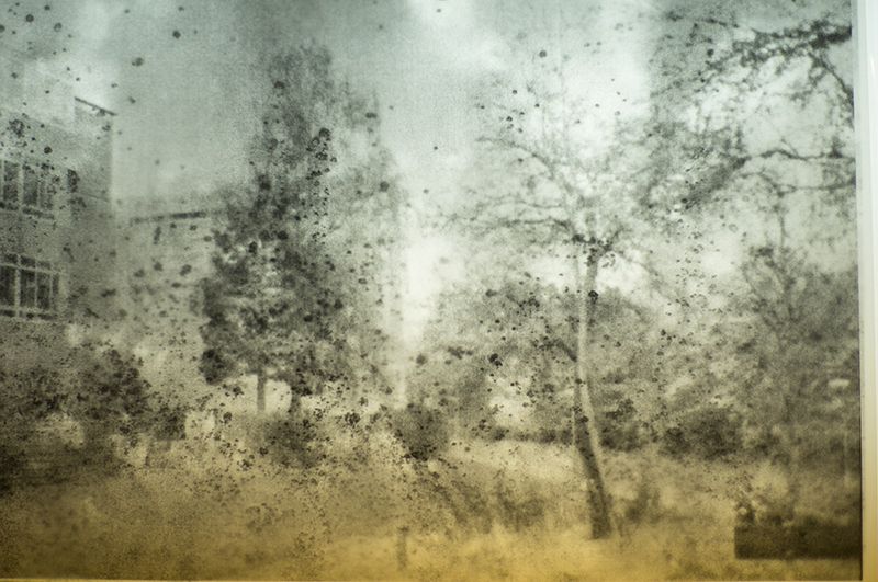 © lise saxtrup - Image from the we live here photography project