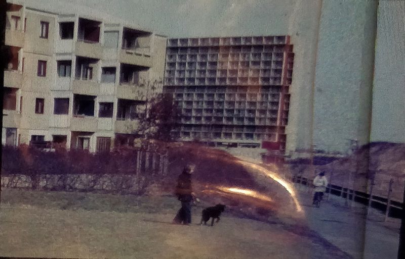 © lise saxtrup - Image from the we live here photography project
