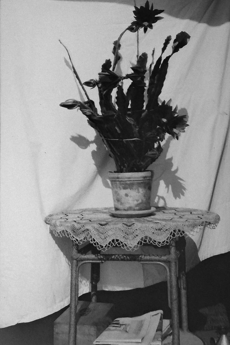 © lise saxtrup - Image from the I don't think you were the same all the time and now I wonder - was I photography project