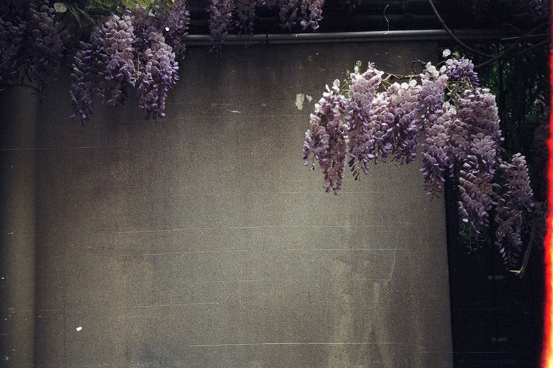 © lise saxtrup - Image from the I don't think you were the same all the time and now I wonder - was I photography project