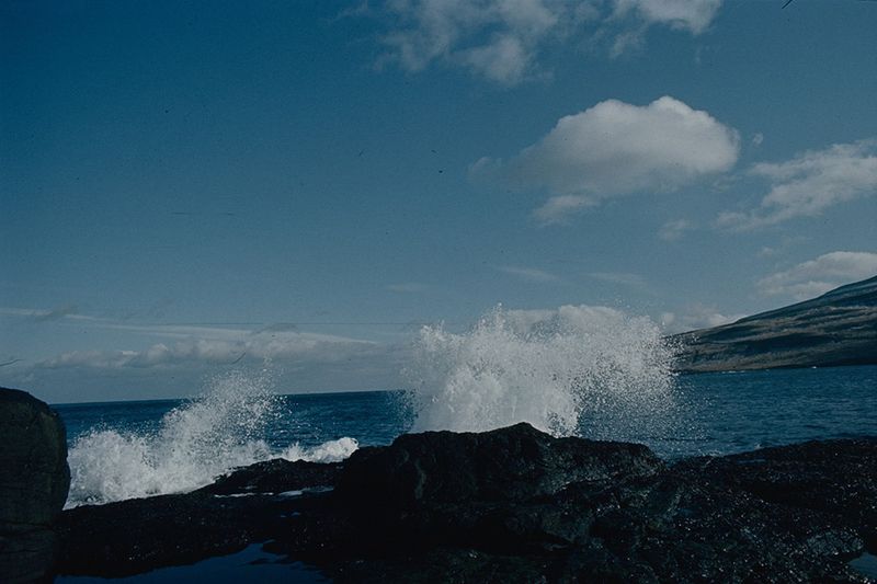 © lise saxtrup - Image from the I don't think you were the same all the time and now I wonder - was I photography project