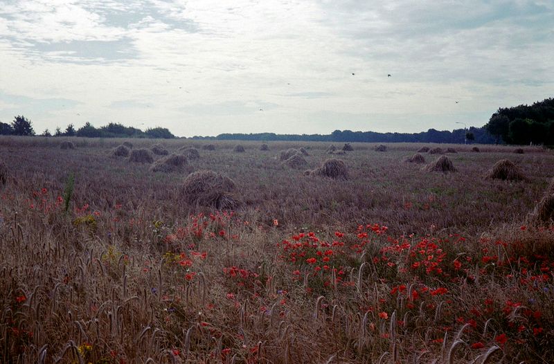 © Elsbeth Tijssen - Image from the Venusian Kitchen photography project