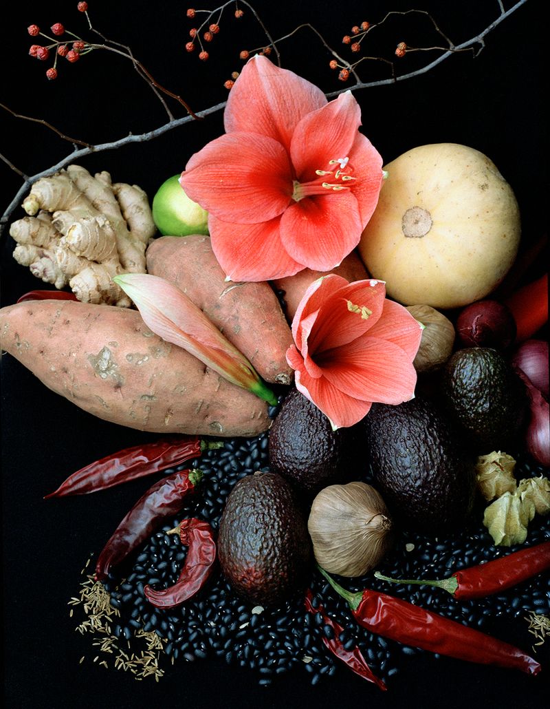 © Elsbeth Tijssen - Image from the Venusian Kitchen photography project