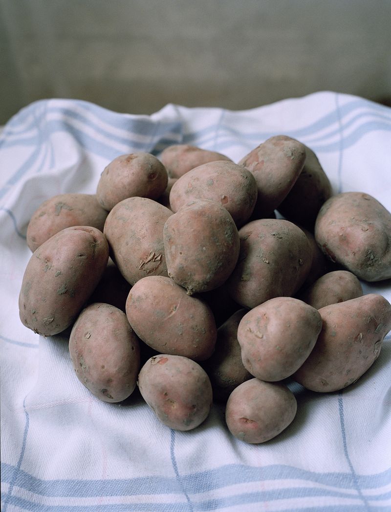 © Elsbeth Tijssen - Image from the Venusian Kitchen photography project