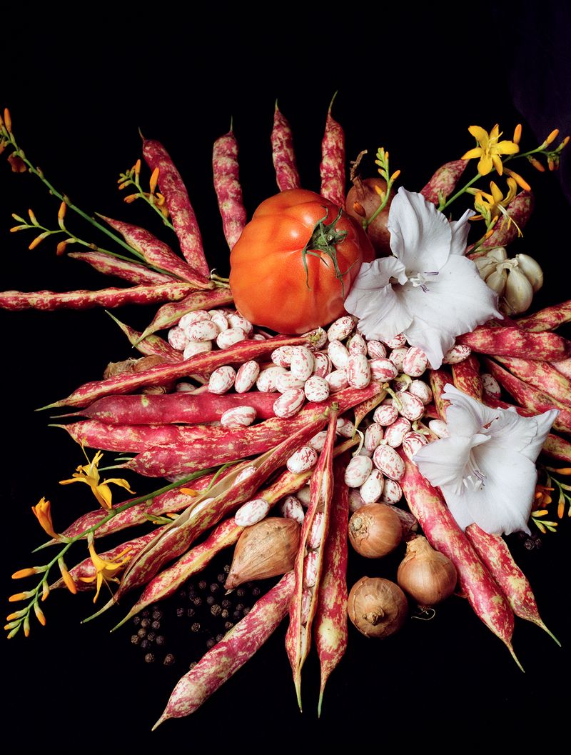 © Elsbeth Tijssen - Amsterdam, The Netherlands 2016. Borlotti. Styling: Henriëtte Tomassen