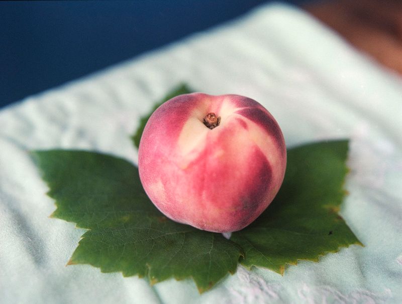 © Elsbeth Tijssen - Amsterdam, the Netherlands 2019, Peach.