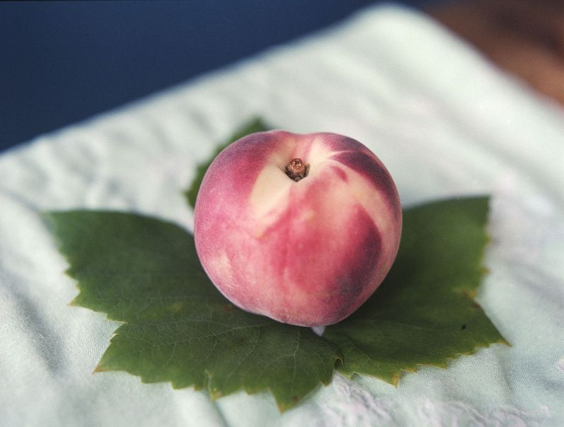© Elsbeth Tijssen - Amsterdam, the Netherlands 2019, Peach.