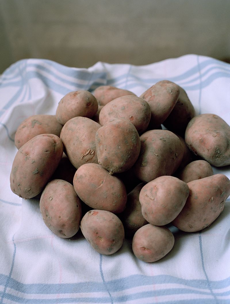 © Elsbeth Tijssen - Amsterdam, The Netherlands 2017. Potato.